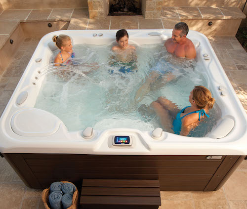 What hot tubs should I consider besides Hot Spring spas? Visual List Item Image