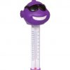 thermometer-floating-fish