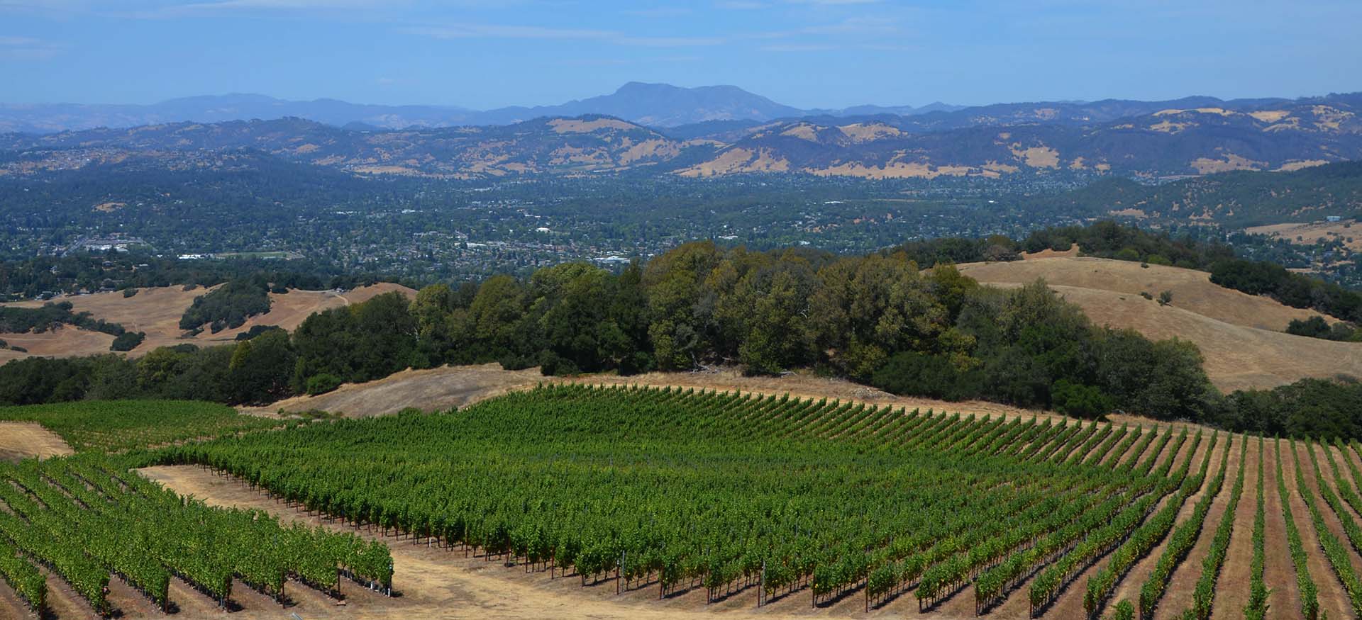 Santa Rosa - Mercury Way Family Image