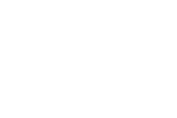600x400 Fantasy Freeflow Spas Combo Logo White Rev2